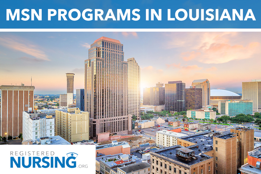 2025 Best MSN and RNtoMSN Programs in Louisiana