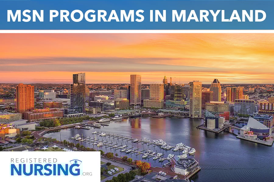 2025 Best MSN and RN-to-MSN Programs in Maryland
