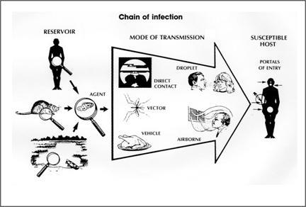 Chain if Infection