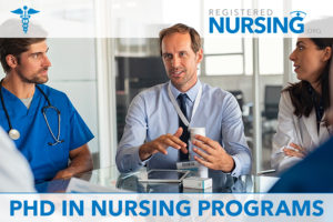 phd program nursing online