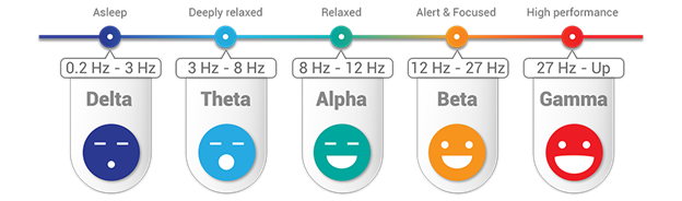 Graph of your 5 brainwave types