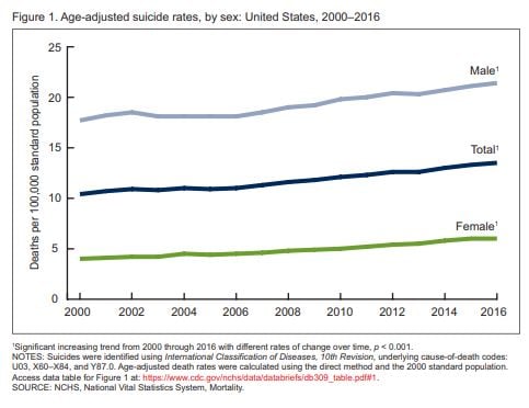 From 2000 through 2016, suicide rates increased for
both males and females, with greater annual percentage
increases occurring after 2006.