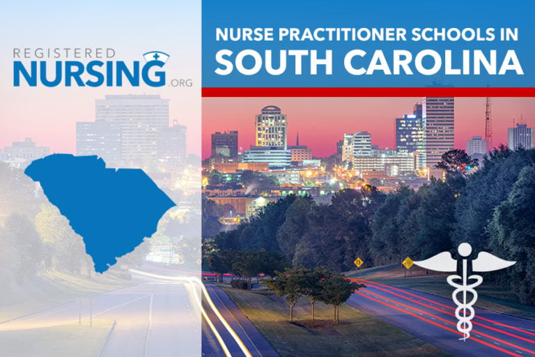 Picture created to represent nurse practitioner schools in South Carolina.
