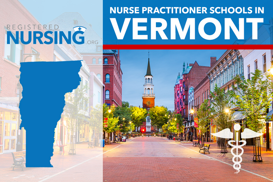 Best Online NP Programs in Vermont (2027 Rankings)