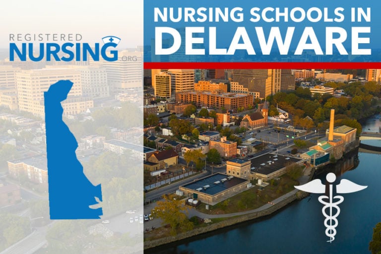 Delaware Nursing Schools & RN Programs