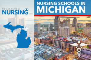Best Nursing Schools In Michigan Adn Bsn Msn