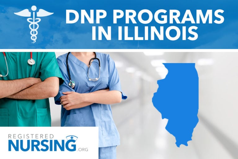 Illinois DNP Programs
