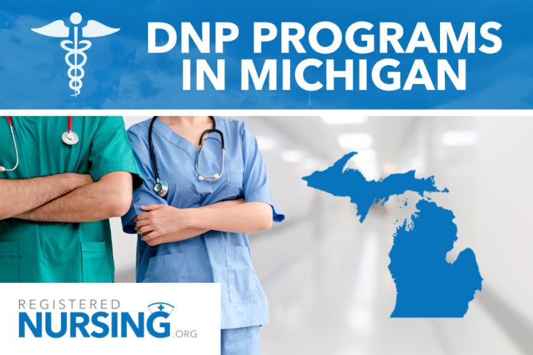 Michigan DNP Programs