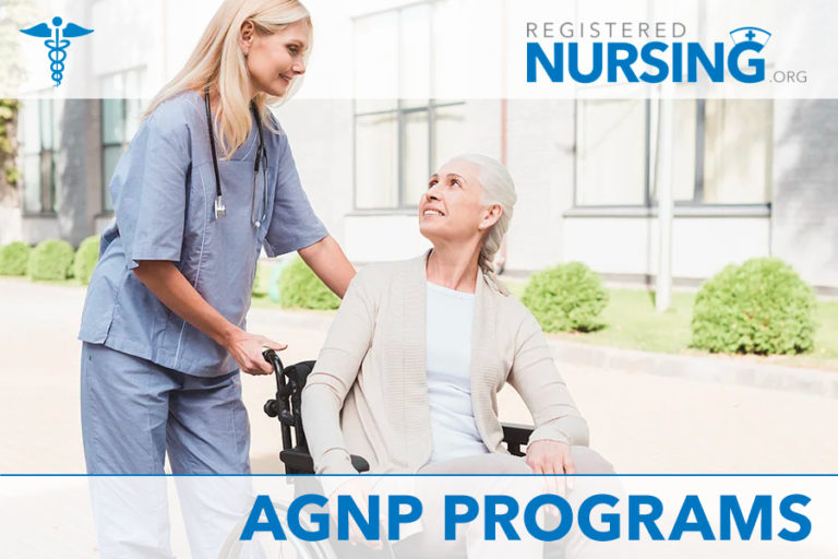 Best Online Adult Gerontology Nurse Practitioner Programs