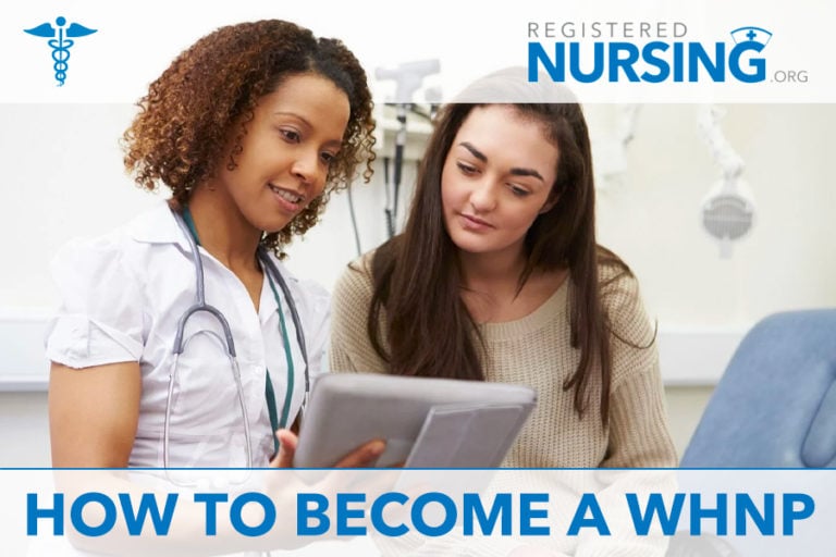 How to Become a Women's Health Nurse Practitioner (WHNP)