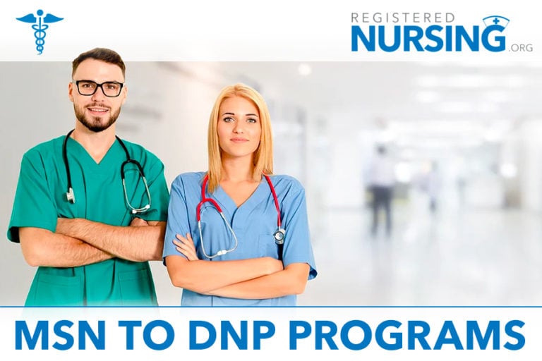 MSN to DNP Programs