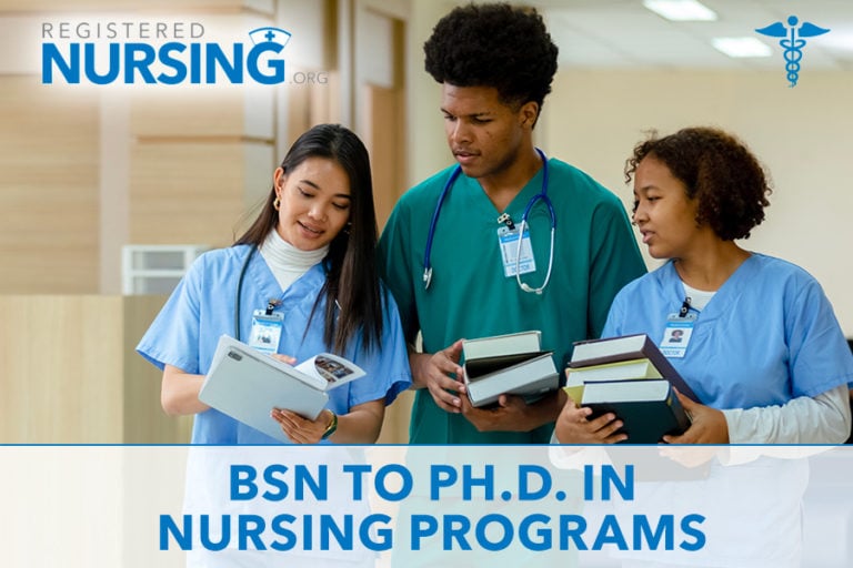 Nursing students in a BSN to PhD program