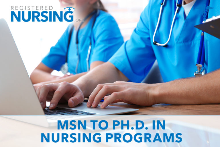 MSN to Ph.D. in Nursing Programs