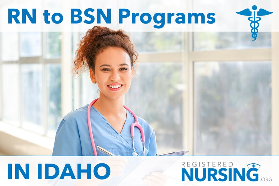 2024 Best RN to BSN Programs in Idaho Online Fast & Affordable Options