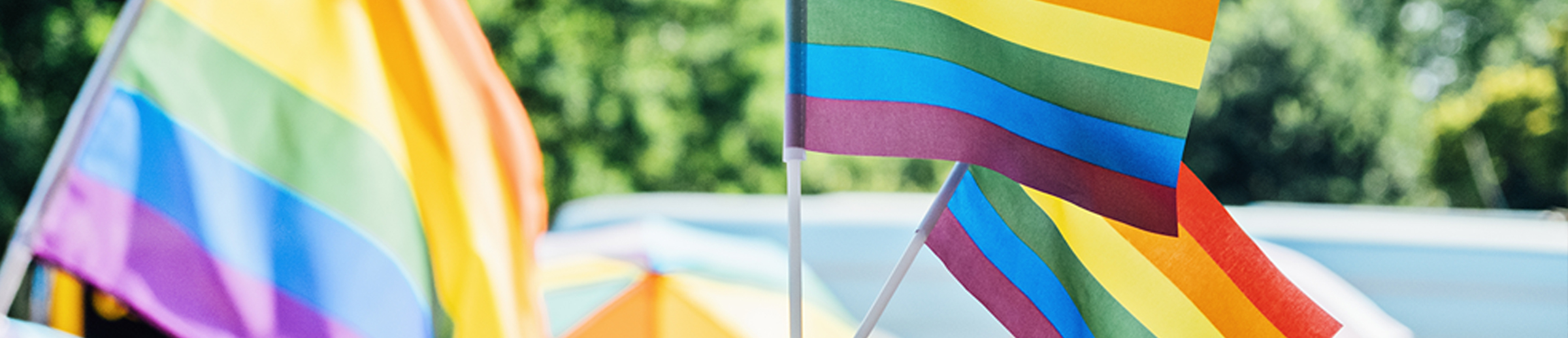 The Role of LGBTQ+ Student Organizations in Nursing Schools: Promoting Diversity and Inclusion