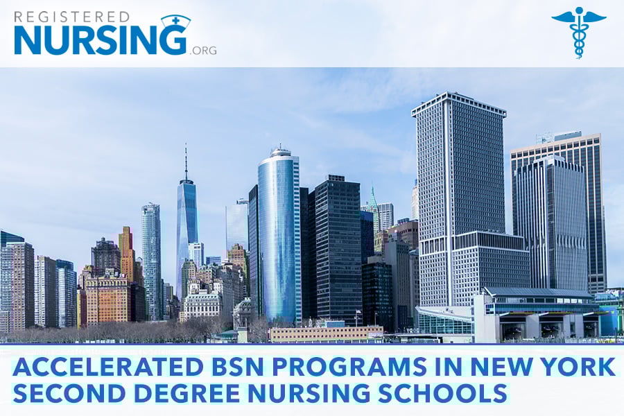 bsn-vs-absn-choosing-the-best-nursing-degree-path-in-2025