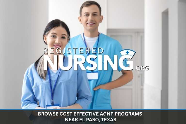 Browse Cost Effective Adult Gerontology Nurse Practitioner Programs Near El Paso, Texas