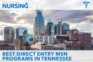 Tennessee DEMSN Programs