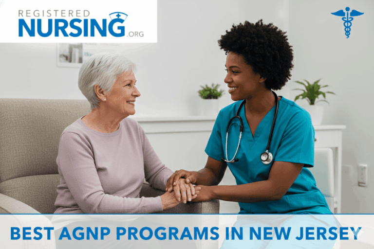 Best Adult-Gerontology Nurse Practitioner Programs in New Jersey