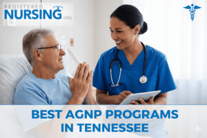Best AGNP Programs in Tennessee