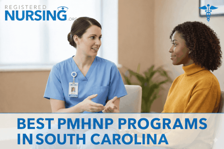 Best Psychiatric-Mental Health Nurse Practitioner (PMHNP) Programs in South Carolina