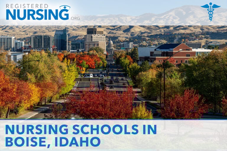 Nursing Schools in Boise, ID