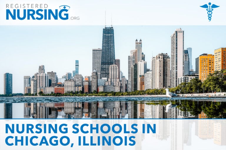 Nursing Schools in Chicago