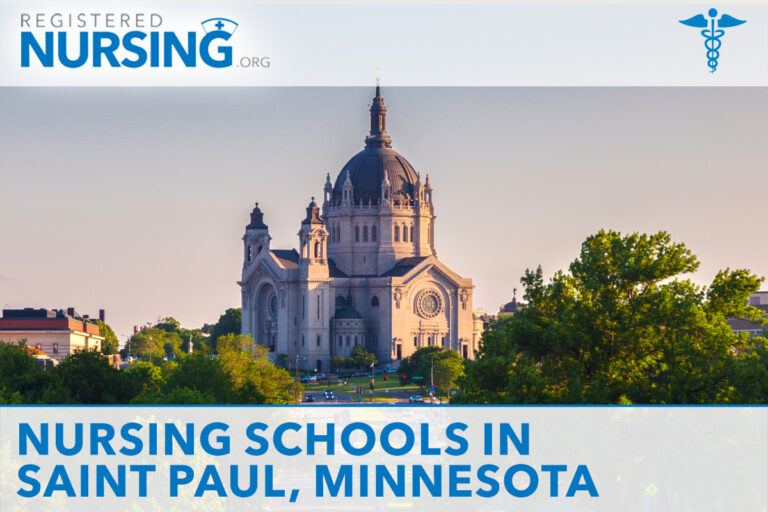 Nursing Schools in Saint Paul, Minnesota