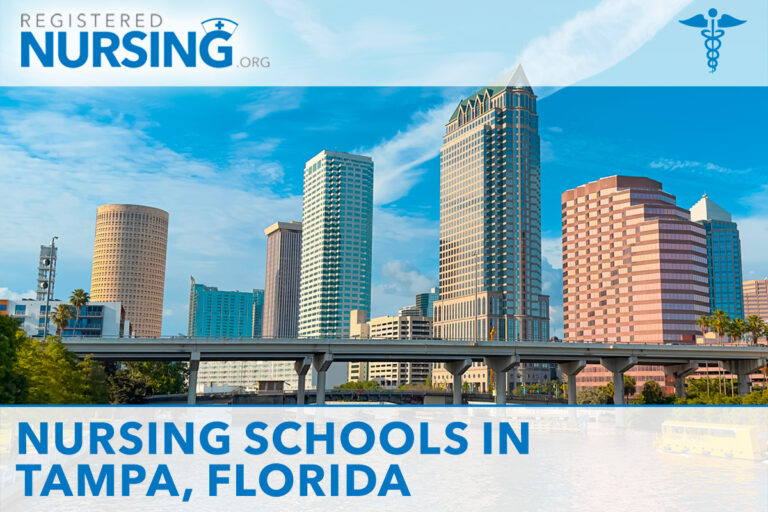 Nursing Schools in Tampa, FL