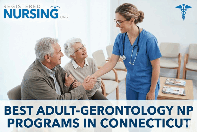 Best Adult-Gerontology Nurse Practitioner Programs in Connecticut