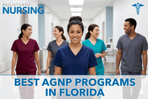 Best AGNP Programs in Florida