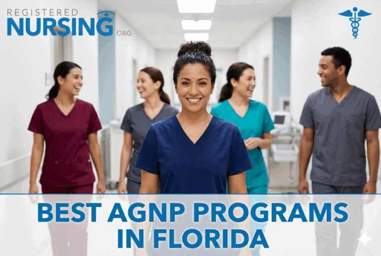 Best Adult-Gerontology Nurse Practitioner Programs in Florida