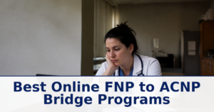 Best Online FNP to ACNP Bridge Programs