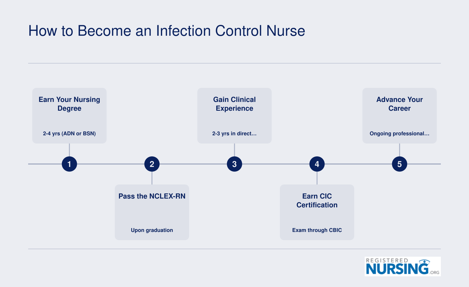 Five-step timeline from earning a nursing degree through CIC certification to senior infection control roles, spanning roughly six to eight years