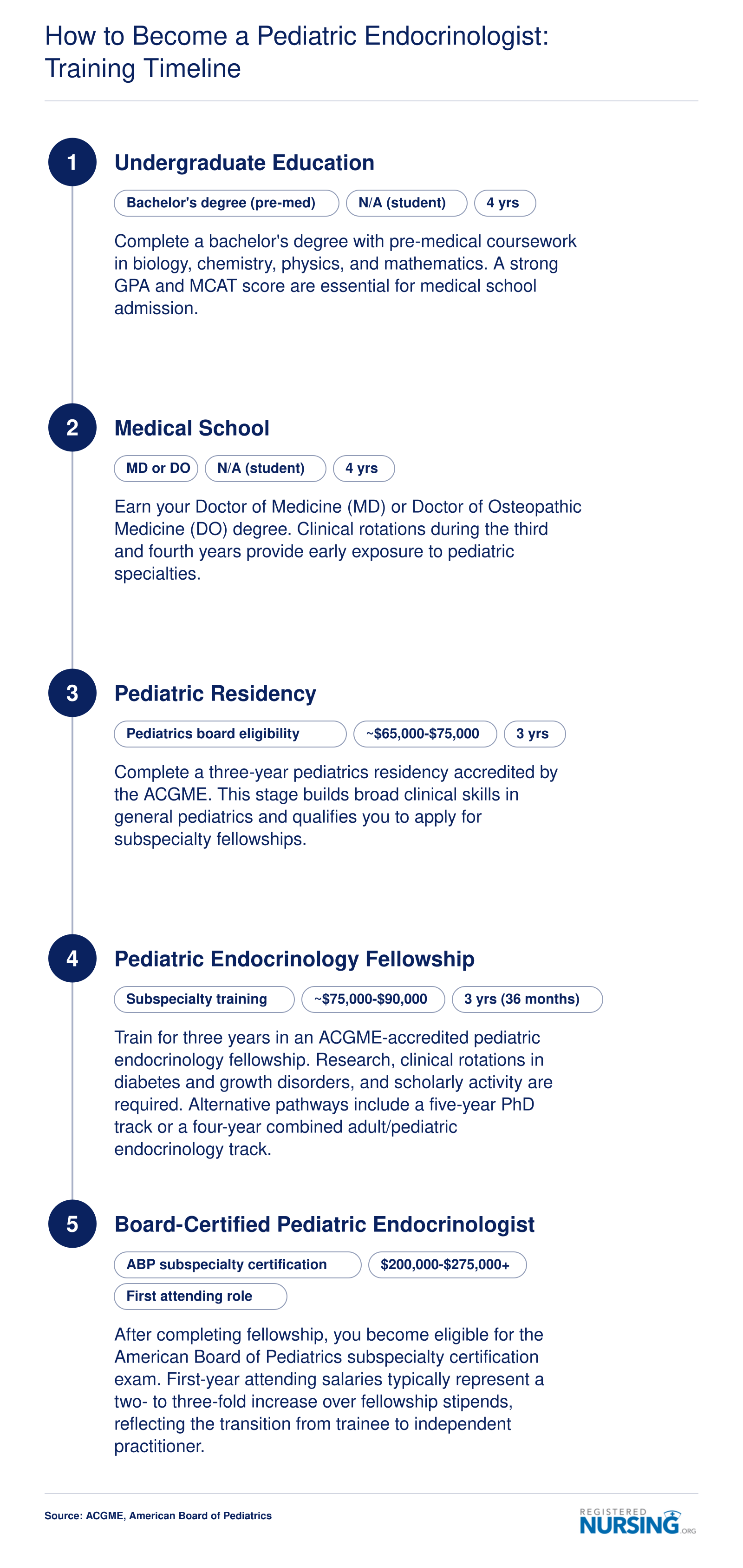 Training timeline for pediatric endocrinologists showing 4 years undergraduate, 4 years medical school, 3 years residency, 3 years fellowship, and board certification