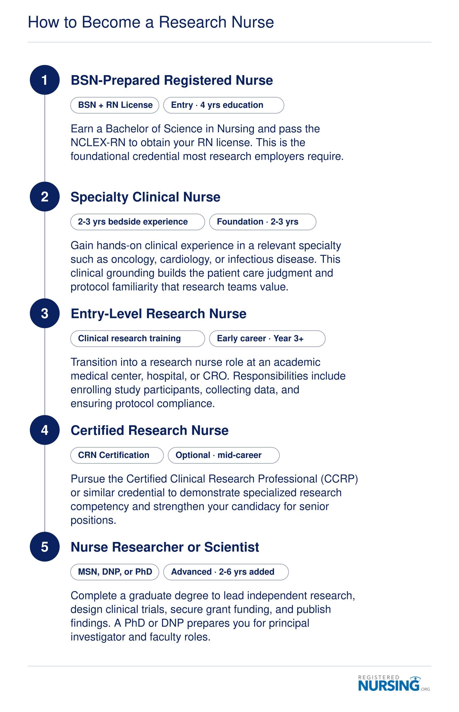 Five-step career pathway from BSN and RN licensure through clinical experience, entry-level research nurse, optional CRN certification, and advanced degrees for nurse researcher or scientist roles