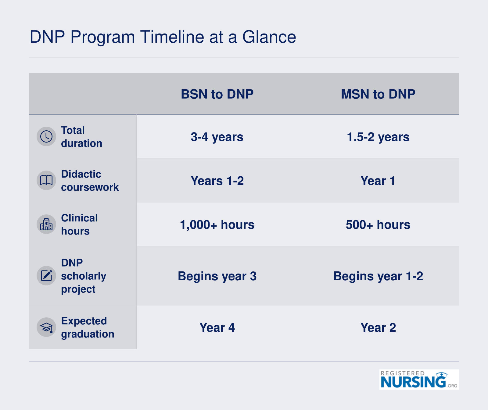DNP Program Timeline at a Glance