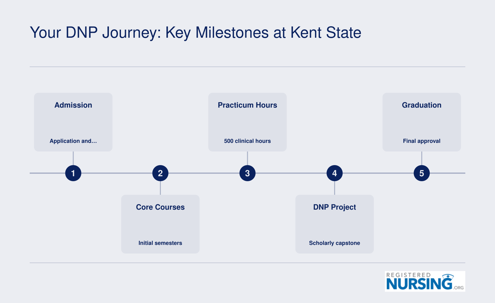 Five-step DNP journey from admission through graduation, including 500 practicum hours.
