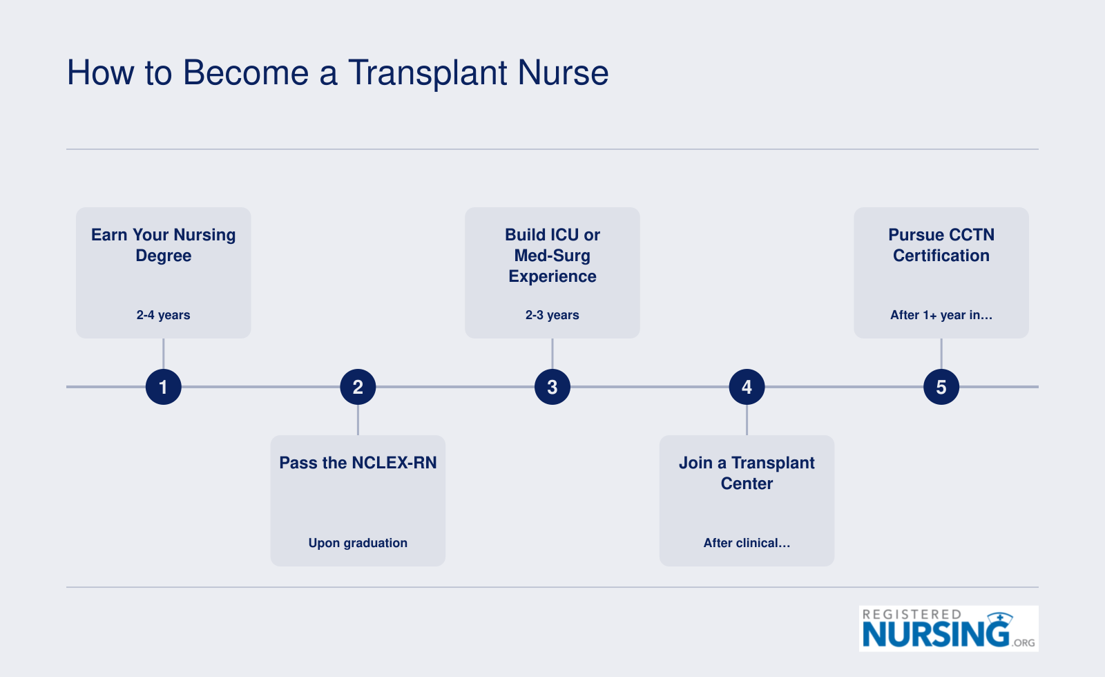 Five-step pathway to becoming a transplant nurse, from nursing degree through CCTN certification, spanning roughly four to seven years