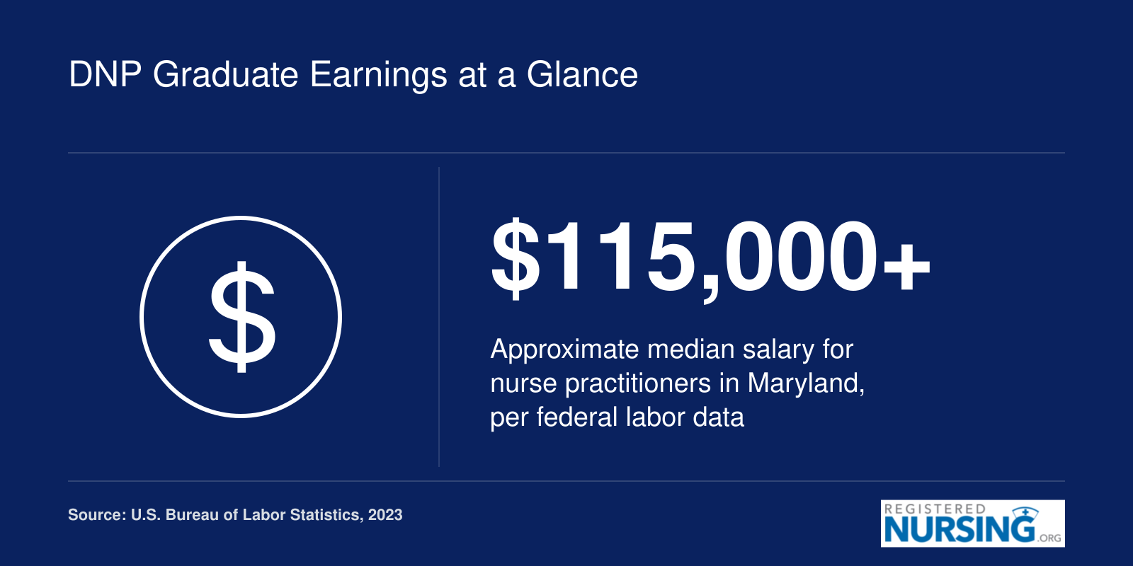 DNP Graduate Earnings at a Glance