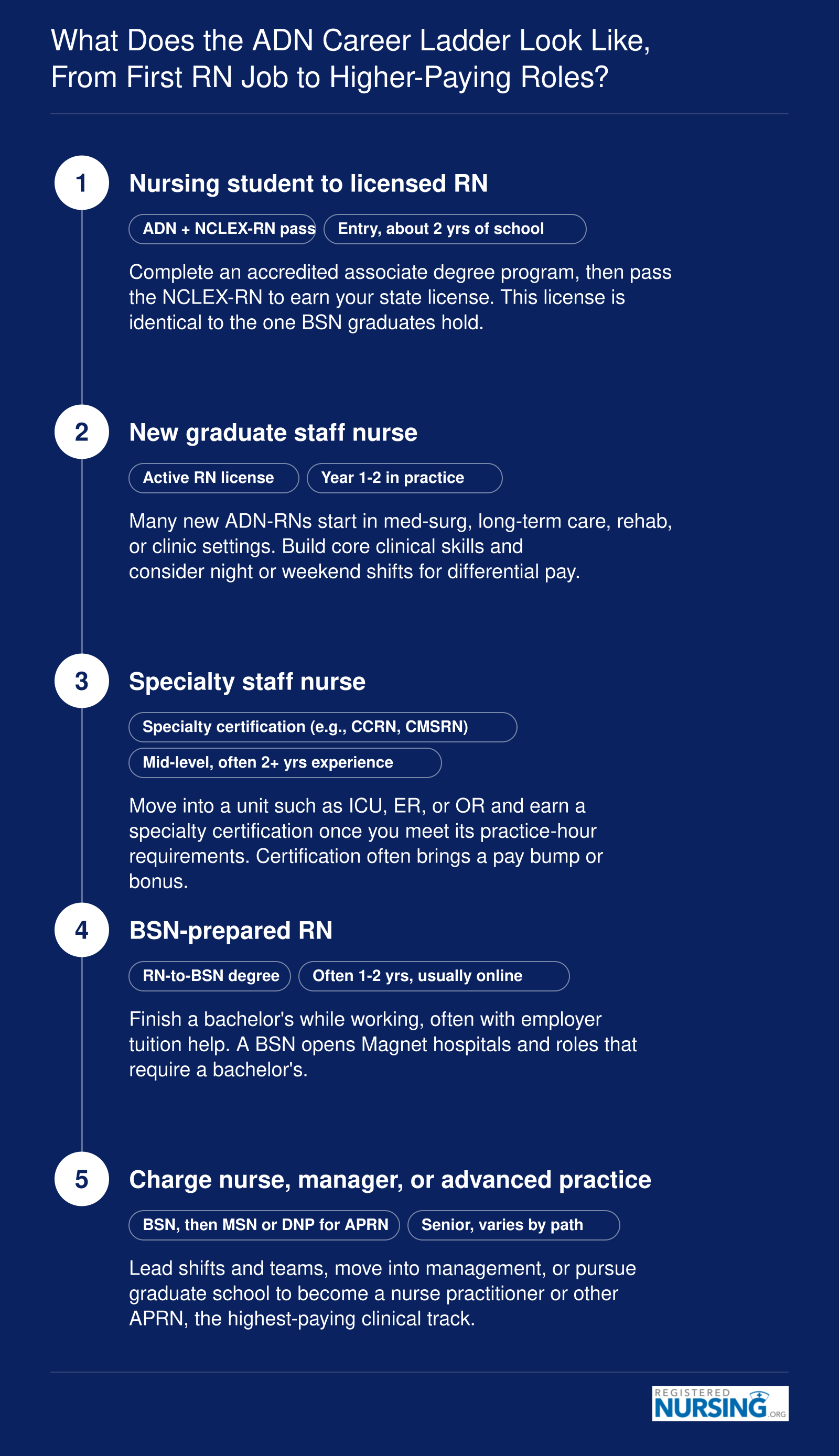 Five-step ADN nursing career path: degree and NCLEX, first RN job, specialty certification, RN-to-BSN, leadership or advanced roles