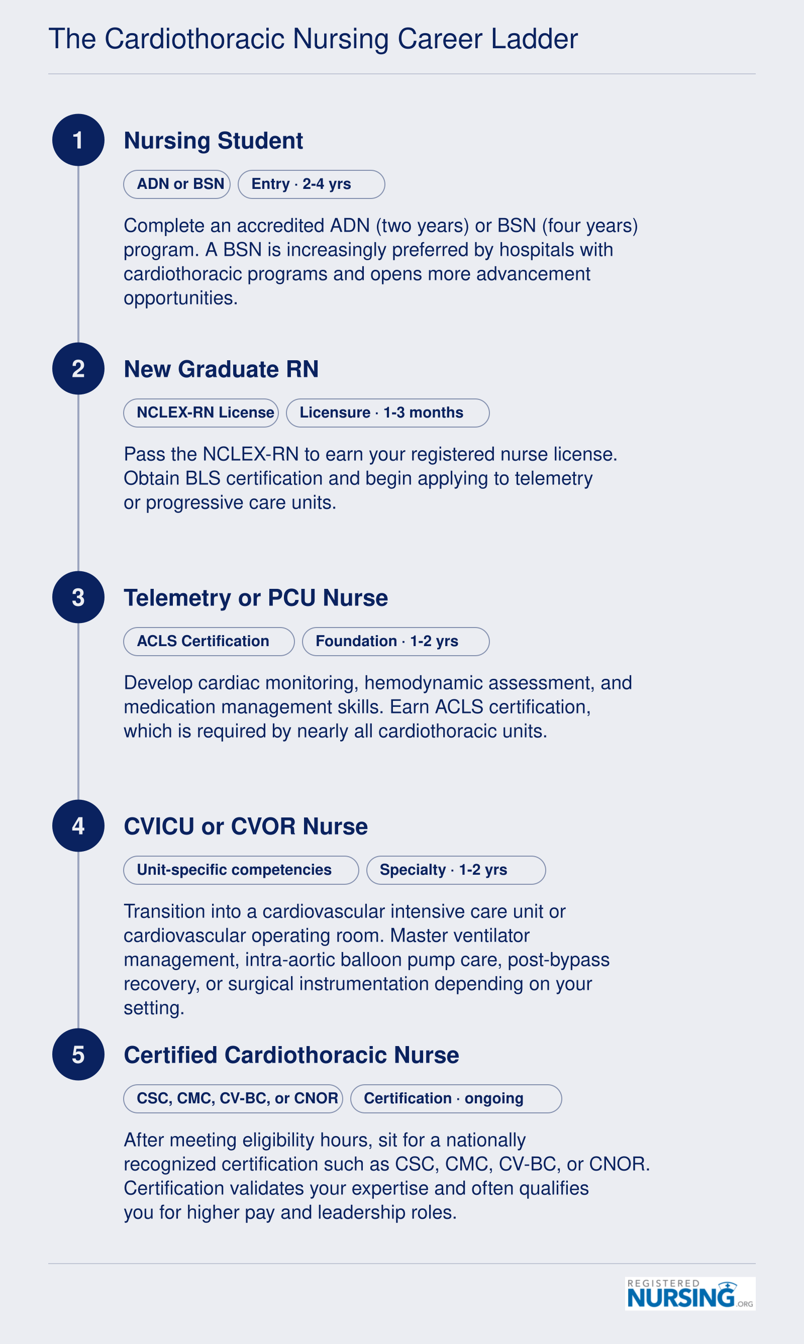 The Cardiothoracic Nursing Career Ladder
