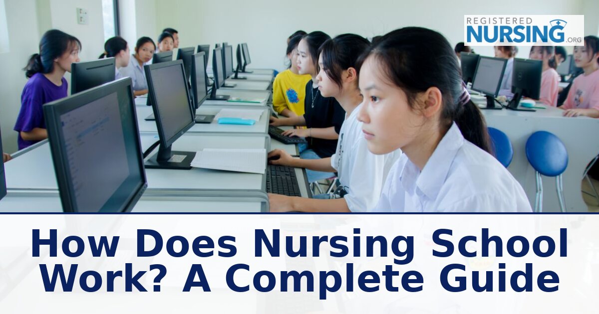 How Does Nursing School Work? A Full Structure Guide