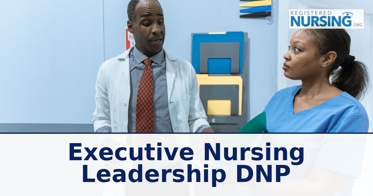 Best DNP Executive Leadership Programs (2026 Rankings)